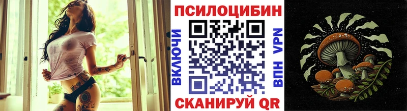 сколько стоит  Эртиль  blacksprut как зайти  Галлюциногенные грибы Psilocybine cubensis 