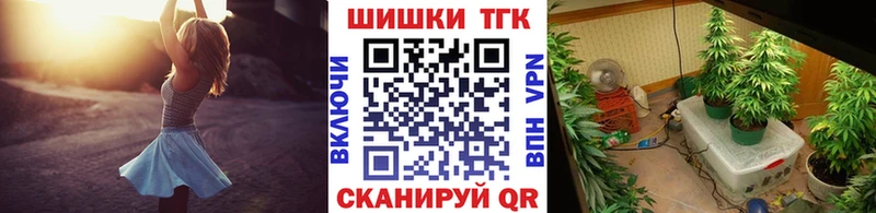 Конопля ГИДРОПОН  где найти наркотики  Эртиль 